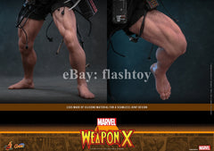 Presale Hot Toys CMS034 1/6 Marvel Comics Weapon X Logan Action Figure Model
