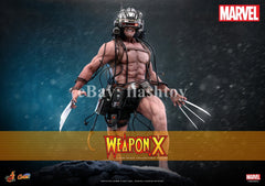 Presale Hot Toys CMS034 1/6 Marvel Comics Weapon X Logan Action Figure Model