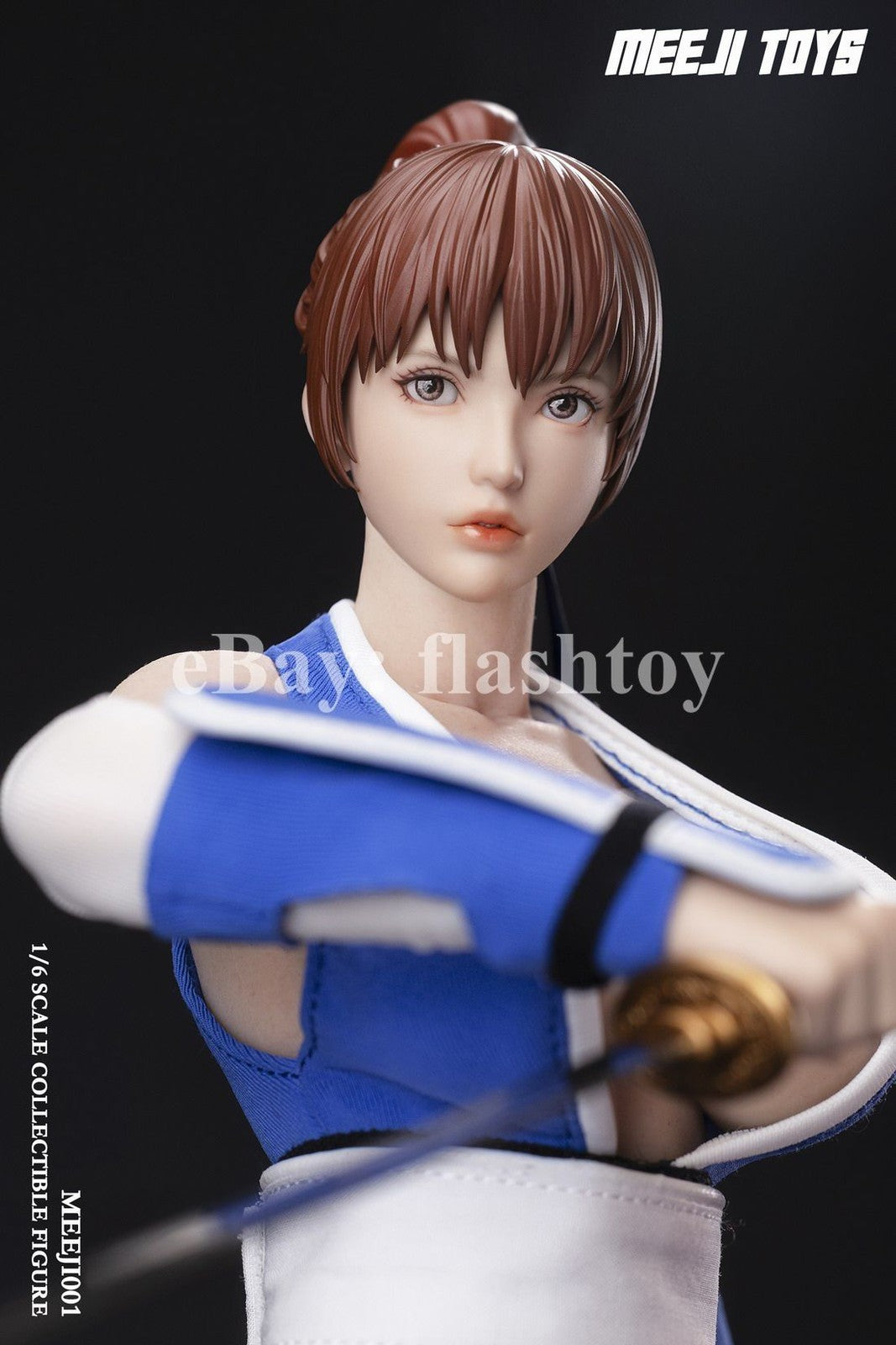 Presale MEEJI Toys MEEJI001 1/6 Female Ninja Fighter Ayane Female Action Figure