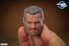 SOOSOOTOYS SSH-003 1/6 X Men Wolverine Old Logan Head Sculpt fit 12" Figure Body