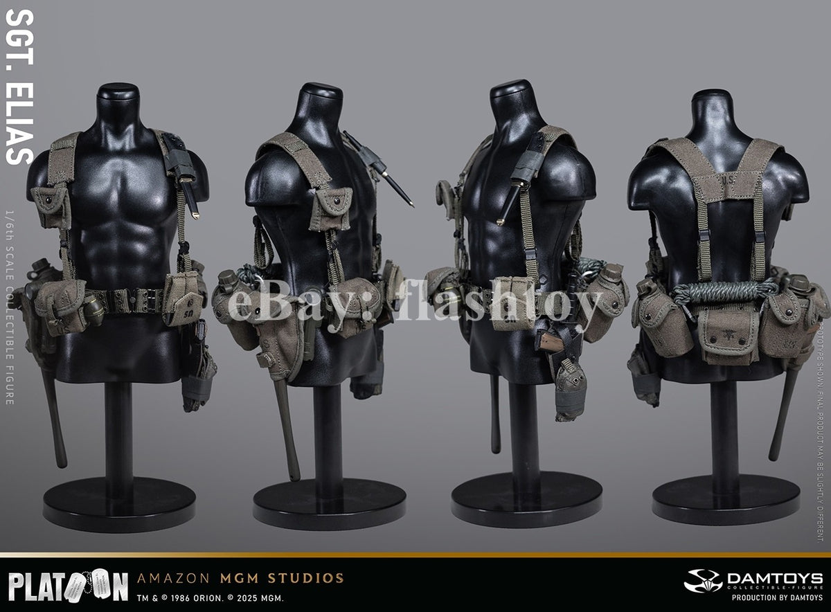 Presale DAMTOYS DMS047 1/6 Platoon Sergeant Elias 12" Male Action Figure Model