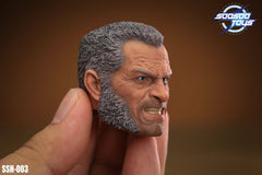 SOOSOOTOYS SSH-003 1/6 X Men Wolverine Old Logan Head Sculpt fit 12" Figure Body