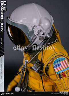 Presale DAMTOYS 78110 1/6 U-2 Dragon Lady Pilot 12" Male Action Figure Model Toy
