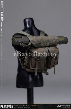 Presale DAMTOYS DMS046 1/6 Platoon Chris Taylor 12" Male Action Figure Model Toy