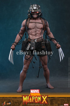 Presale Hot Toys CMS034 1/6 Marvel Comics Weapon X Logan Action Figure Model