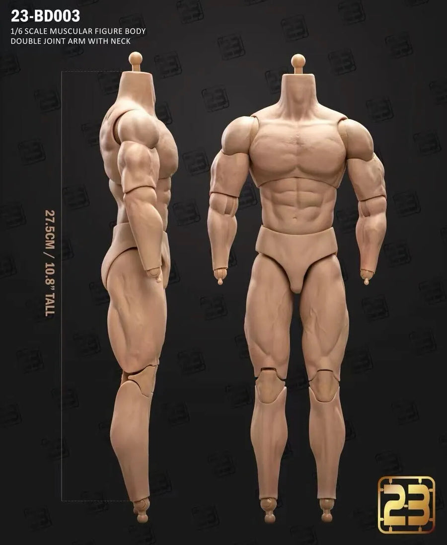 23Toys 23-BD003 1/6 muskulöser männlicher Actionfiguren-Körper für 12" Hot Toys Kopf