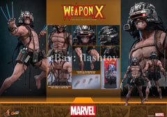 Presale Hot Toys CMS034 1/6 Marvel Comics Weapon X Logan Action Figure Model