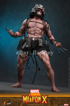 Presale Hot Toys CMS034 1/6 Marvel Comics Weapon X Logan Action Figure Model