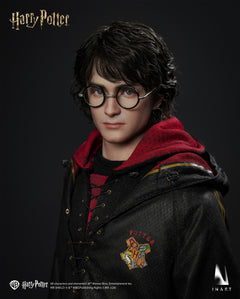 Presale INART Ag A046 1/6 Harry Potter and the Goblet of Fire Action Figure Toy
