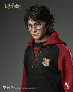 Presale INART Ag A046 1/6 Harry Potter and the Goblet of Fire Action Figure Toy