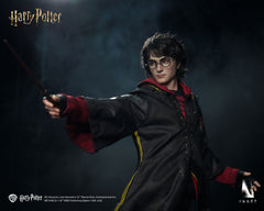 Presale INART Ag A046 1/6 Harry Potter and the Goblet of Fire Action Figure Toy