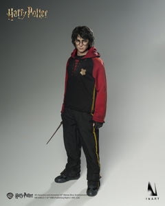 Presale INART Ag A046 1/6 Harry Potter and the Goblet of Fire Action Figure Toy