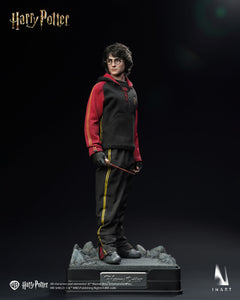 Presale INART Ag A046 1/6 Harry Potter and the Goblet of Fire Action Figure Toy