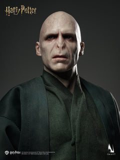 Vorverkauf INART Ag A047 1/6 Harry Potter und der Feuerkelch Lord Voldemort Standard-Version