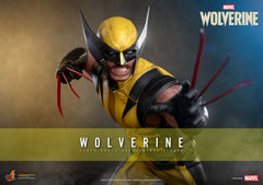 Vorverkauf Hot Toys VGM91 1/6 Marvel’s Wolverine Logan Sammelfigur