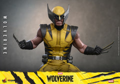Vorverkauf Hot Toys VGM91 1/6 Marvel’s Wolverine Logan Sammelfigur