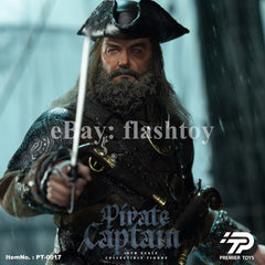 Presale Premier Toys PT-0017 1/6 Pirate Captain 12" Male Action Figure Model Toy