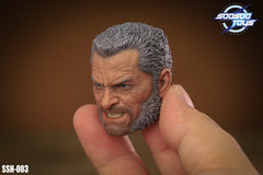 SOOSOOTOYS SSH-003 1/6 X Men Wolverine Old Logan Head Sculpt fit 12" Figure Body