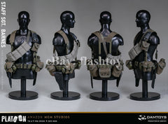 Presale DAMTOYS DMS045 1/6 Platoon Staff Sergeant Barnes Action Figure Model Toy