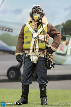 DID K80187 1/6 WWII British Pilot Squadron Leader Tom Action Figure Model Toy