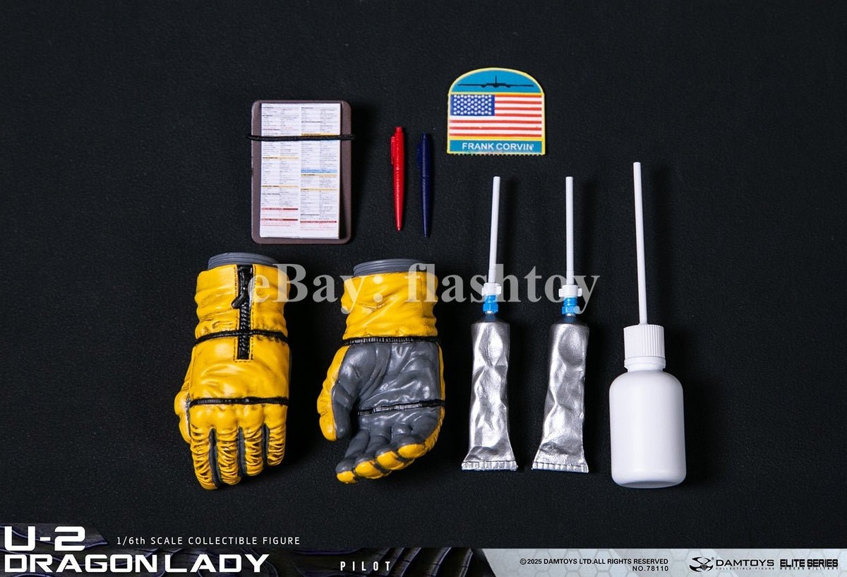 Presale DAMTOYS 78110 1/6 U-2 Dragon Lady Pilot 12" Male Action Figure Model Toy