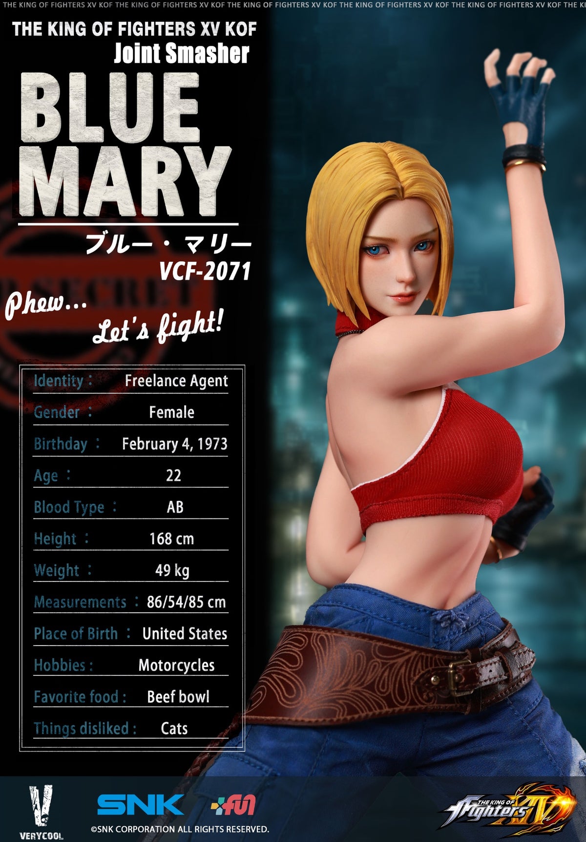 Presale VERYCOOL VCF-2071 1/6 The King of Fighters XIV Blue Marry Action Figure