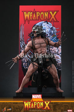 Presale Hot Toys CMS034 1/6 Marvel Comics Weapon X Logan Action Figure Model